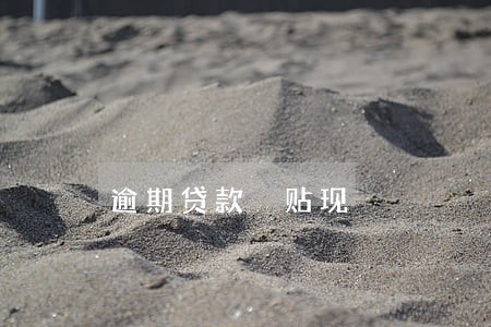 逾期贷款 贴现 逾期贷款 贴现